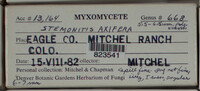 Image Associated With the Occurence